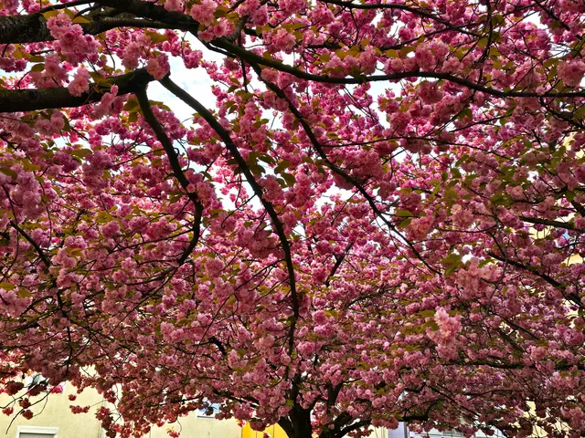 Foto: Heidrun Rosenberger