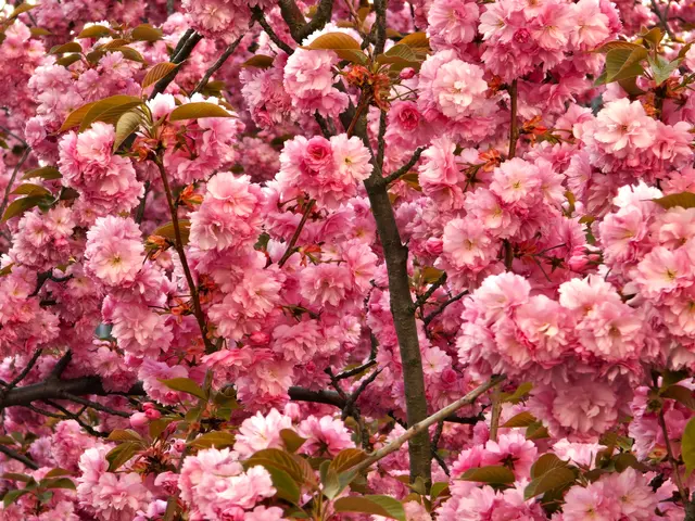 Foto: Heidrun Rosenberger