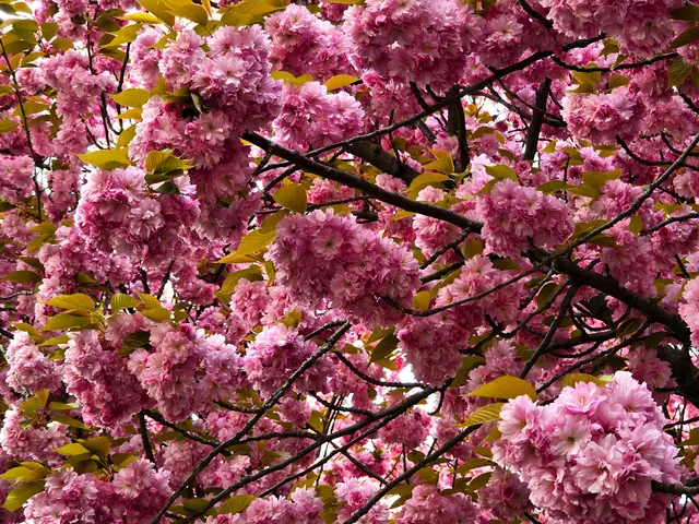 Foto: Heidrun Rosenberger