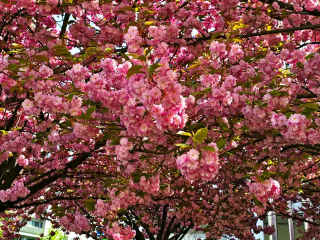 Foto: Heidrun Rosenberger