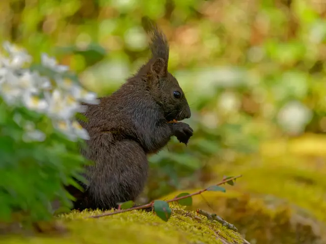 Foto: Eigenes Bild TB