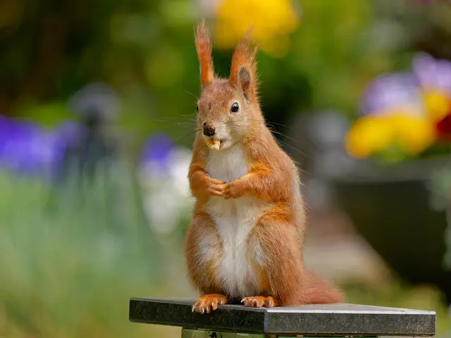 Foto: Eigenes Bild TB