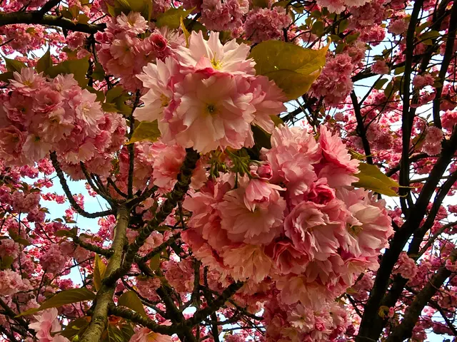 Foto: Heidrun Rosenberger