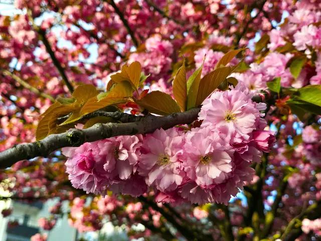 Foto: Heidrun Rosenberger