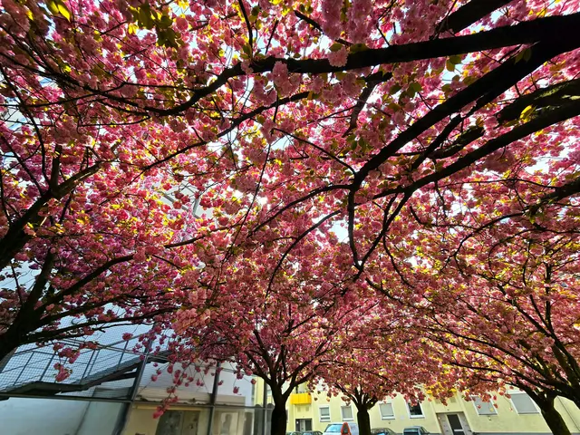 Foto: Heidrun Rosenberger