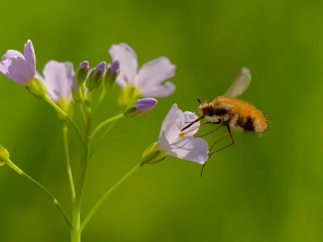 Foto: Eigenes Bild TB