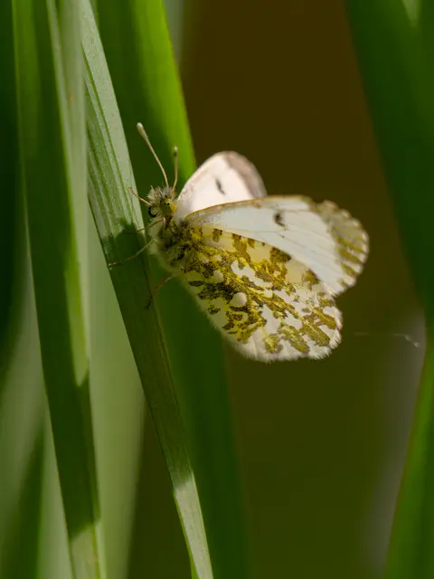 Foto: Eigenes Bild TB