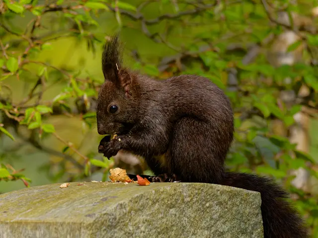 Foto: Eigenes Bild TB