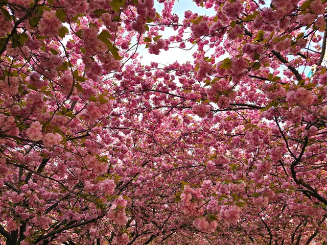 Foto: Heidrun Rosenberger