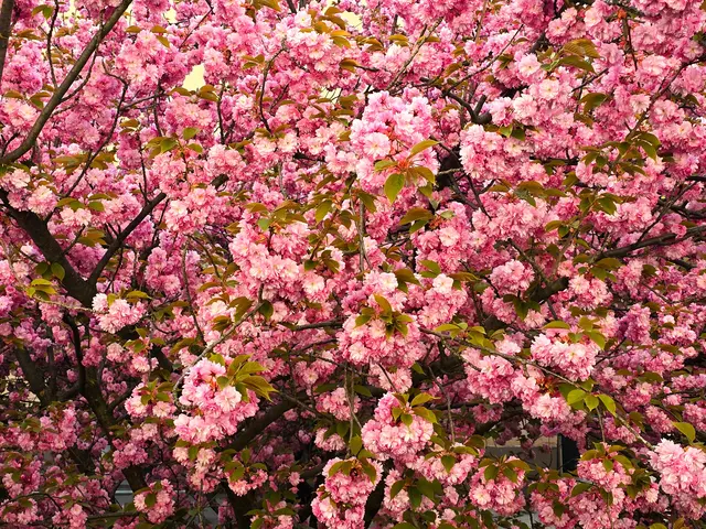 Foto: Heidrun Rosenberger