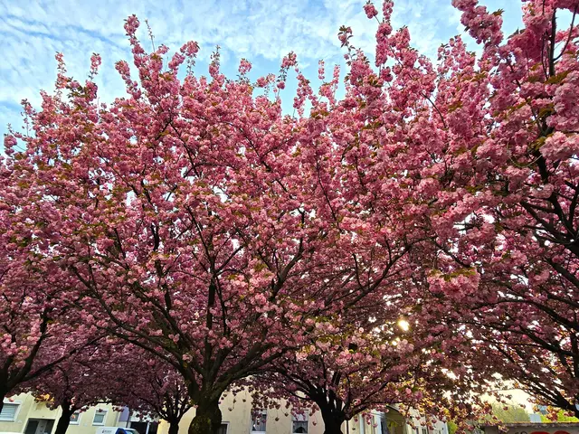 Foto: Heidrun Rosenberger