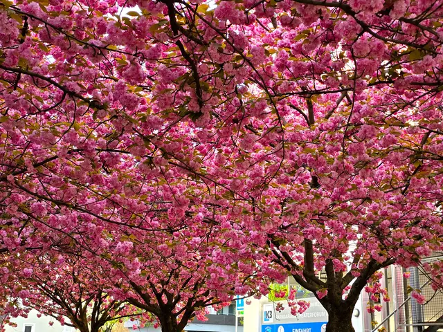 Foto: Heidrun Rosenberger