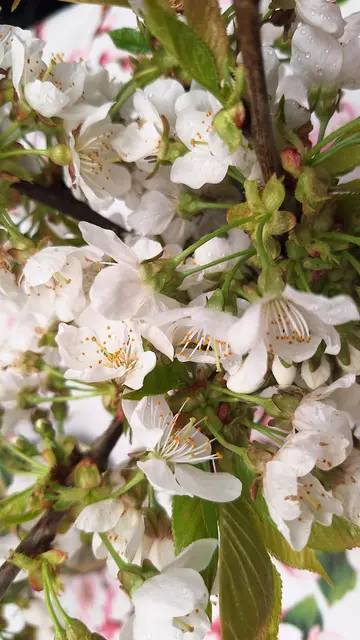   | Foto: Albverein Weinsberg