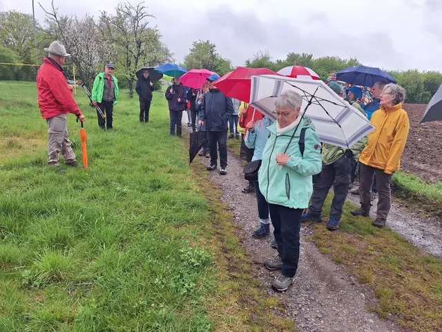 Info von WF Wolfgang Helbig | Foto: Manfred Schaaf