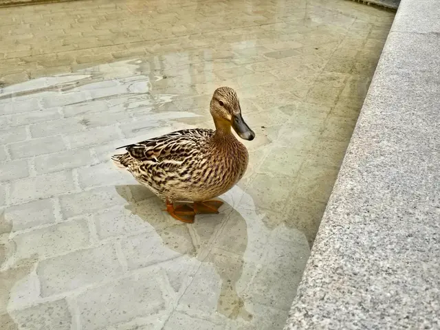 Foto: Heidrun Rosenberger