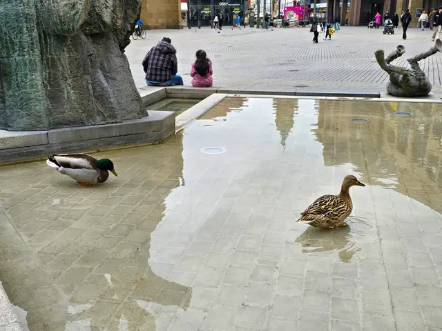 Foto: Heidrun Rosenberger