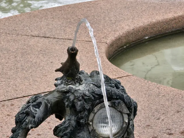 Foto: Heidrun Rosenberger