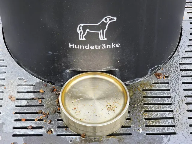 Foto: Heidrun Rosenberger