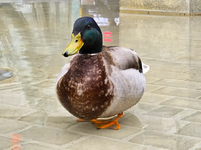 Foto: Heidrun Rosenberger