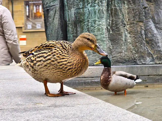 Foto: Heidrun Rosenberger