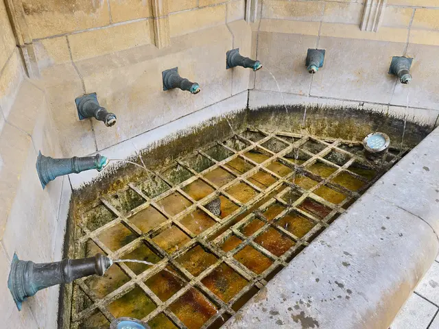 Foto: Heidrun Rosenberger