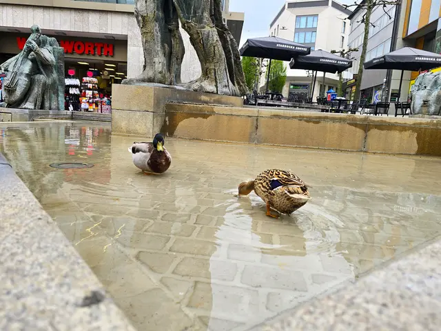 Foto: Heidrun Rosenberger