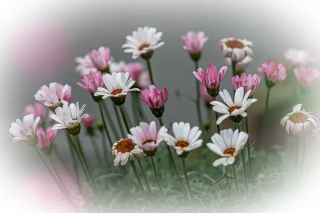 Foto: Alle Fotos sind Eigentum von Gerd Tiedtke