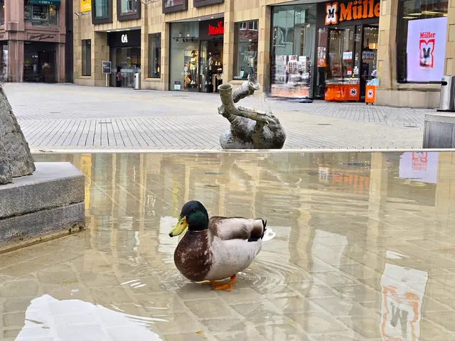 Foto: Heidrun Rosenberger