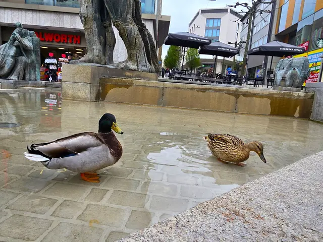 Foto: Heidrun Rosenberger