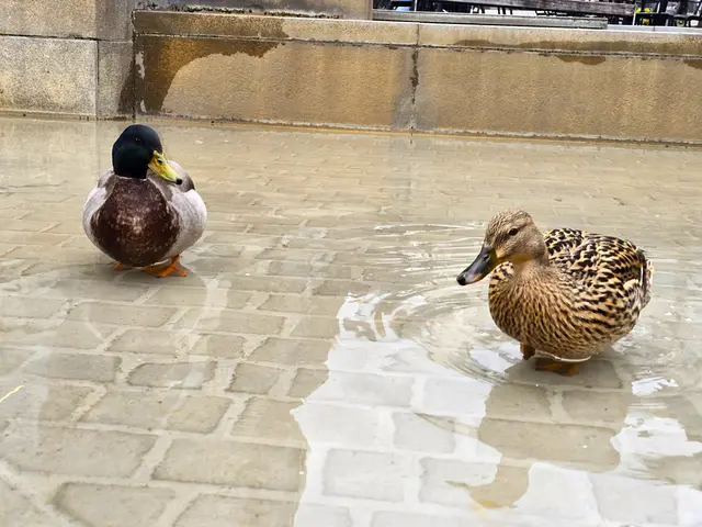 Foto: Heidrun Rosenberger