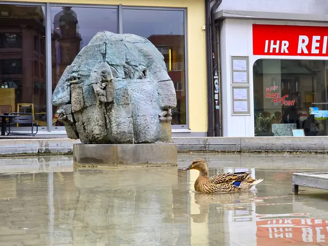 Foto: Heidrun Rosenberger