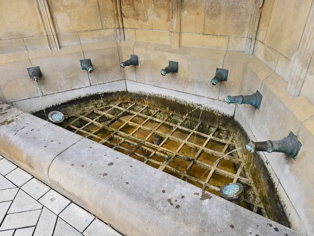 Foto: Heidrun Rosenberger