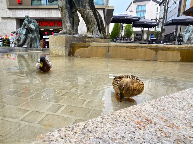 Foto: Heidrun Rosenberger