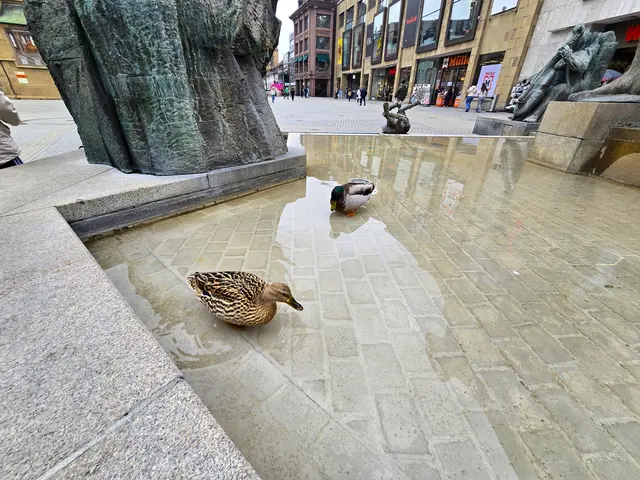 Foto: Heidrun Rosenberger