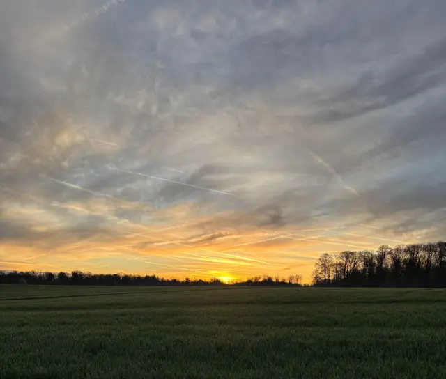 Traudel Retzbach | Foto: Traudel Retzbach