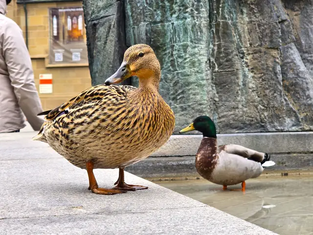 Foto: Heidrun Rosenberger