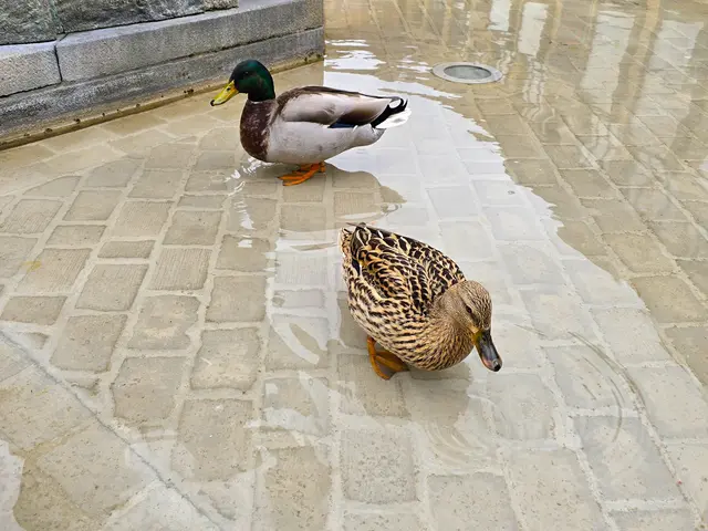 Foto: Heidrun Rosenberger