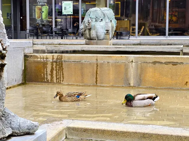 Foto: Heidrun Rosenberger