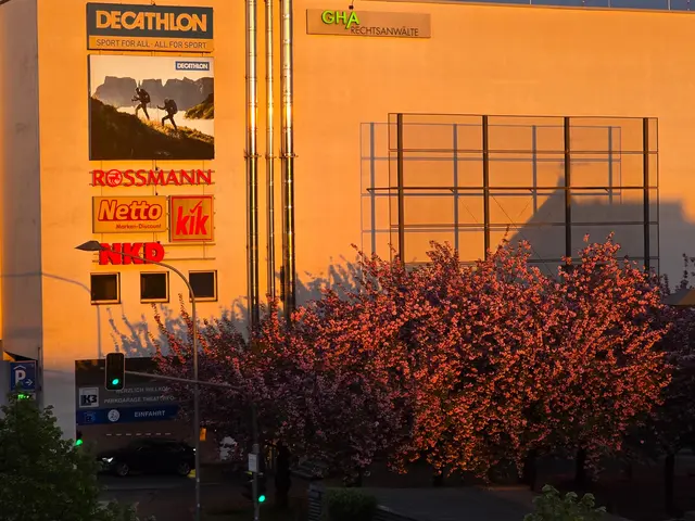 Die helle Wand am Gebäude reflektiert das gelbe Sonnenlicht.   | Foto: Heidrun Rosenberger