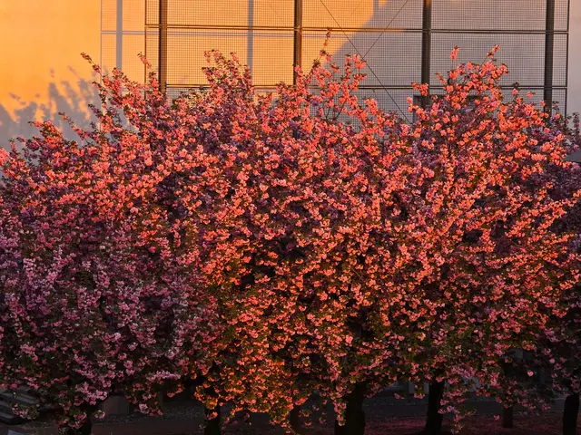 Foto: Heidrun Rosenberger