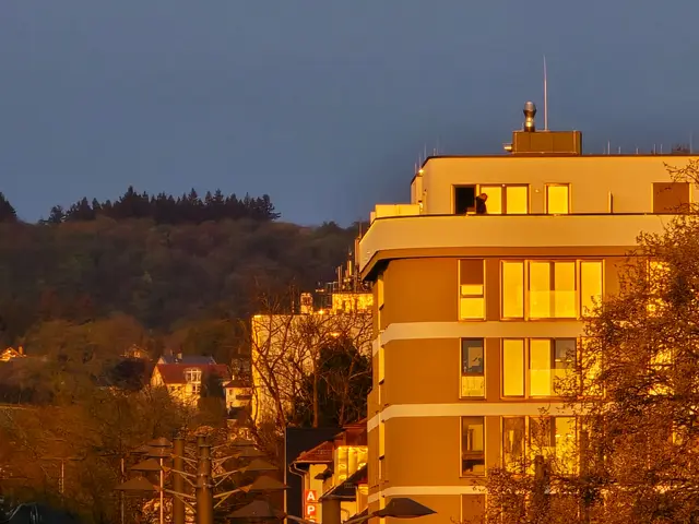 Der dunkle Wald im Hintergrund - ein herrlicher Gegensatz zum hellen Sonnenlicht. | Foto: Heidrun Rosenberger