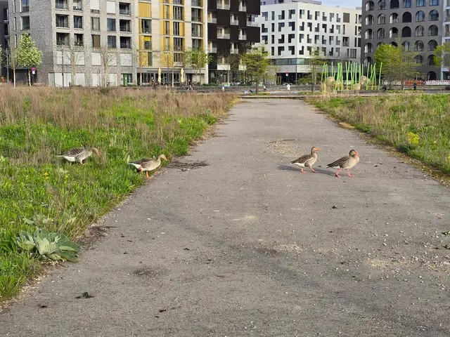 Foto: Heidrun Rosenberger