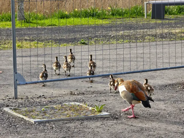 Foto: Heidrun Rosenberger