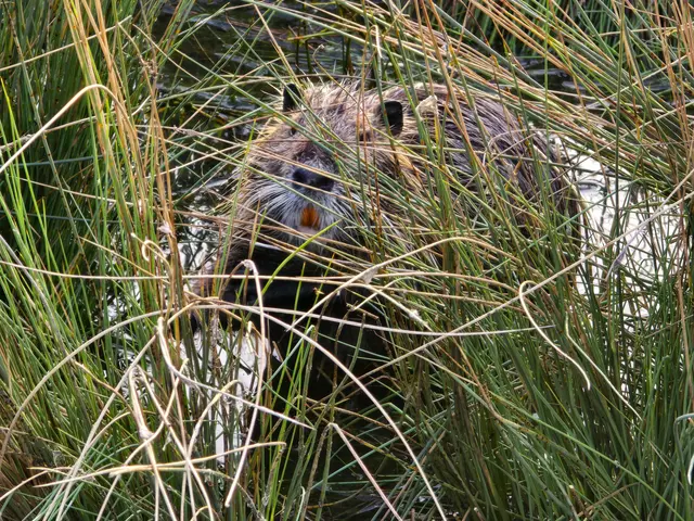 Foto: Heidrun Rosenberger