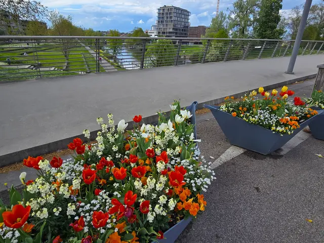 Foto: Heidrun Rosenberger