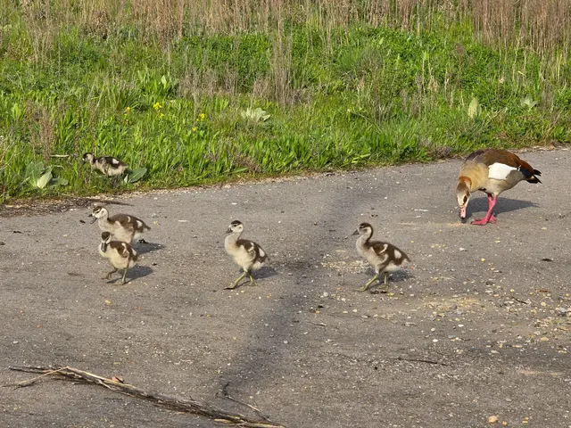 Foto: Heidrun Rosenberger