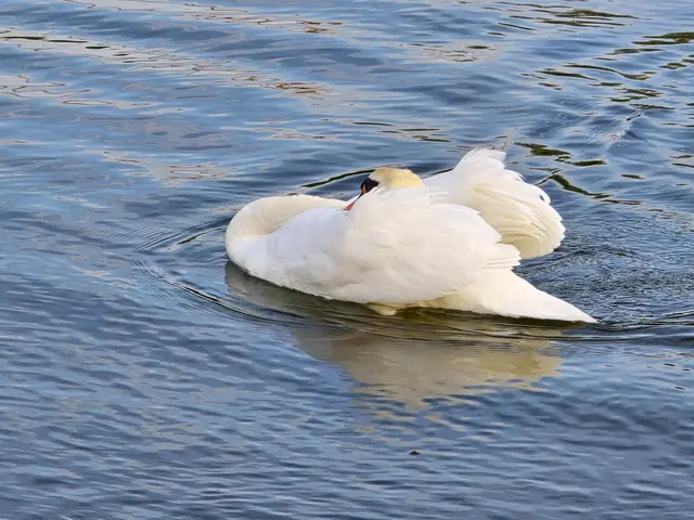 Foto: Heidrun Rosenberger