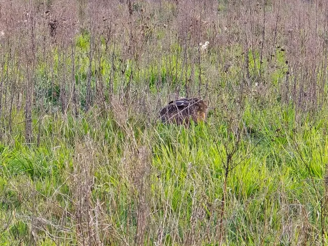 Foto: Heidrun Rosenberger