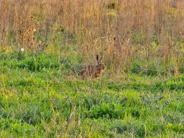 Foto: Heidrun Rosenberger