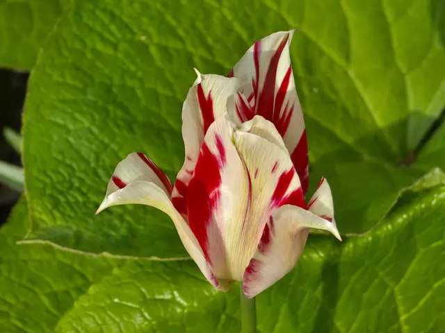 Foto: Heidrun Rosenberger